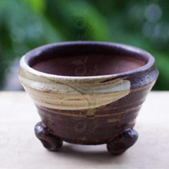 Giải pháp phun tưới